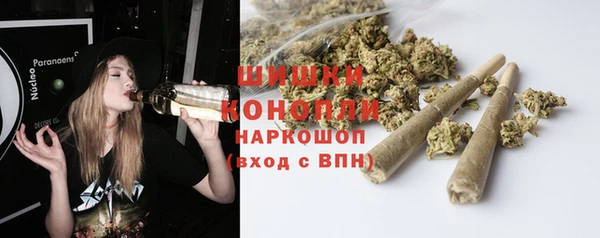 apvp Инта