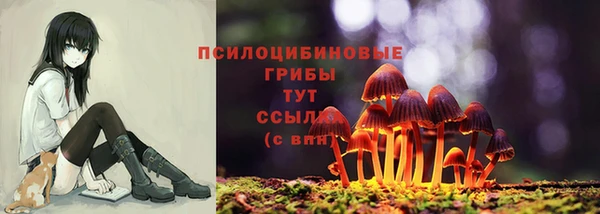 apvp Инта