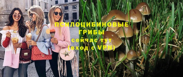 ПСИЛОЦИБИНОВЫЕ ГРИБЫ Инсар