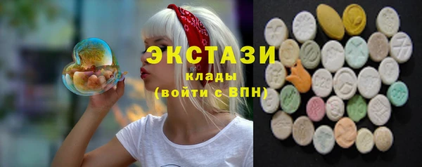 apvp Инта