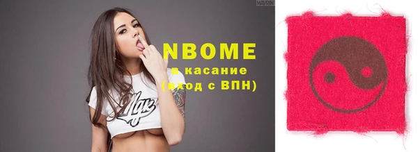 apvp Инта