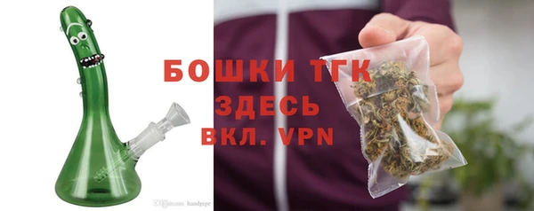 apvp Инта