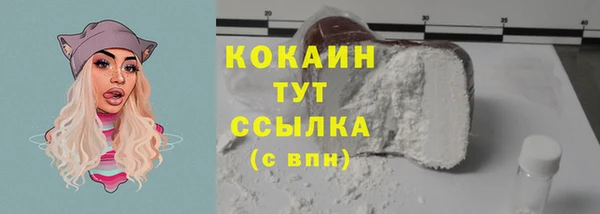 ПСИЛОЦИБИНОВЫЕ ГРИБЫ Инсар