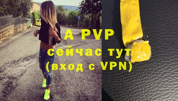 apvp Инта