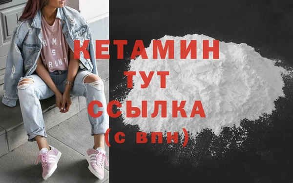 ПСИЛОЦИБИНОВЫЕ ГРИБЫ Инсар