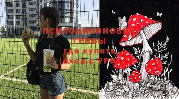 apvp Инта