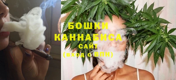 ПСИЛОЦИБИНОВЫЕ ГРИБЫ Инсар