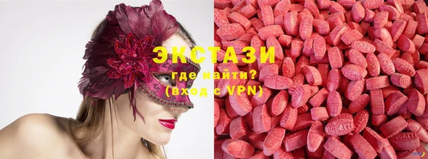 ПСИЛОЦИБИНОВЫЕ ГРИБЫ Инсар