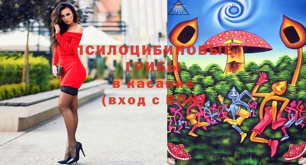 ПСИЛОЦИБИНОВЫЕ ГРИБЫ Инсар