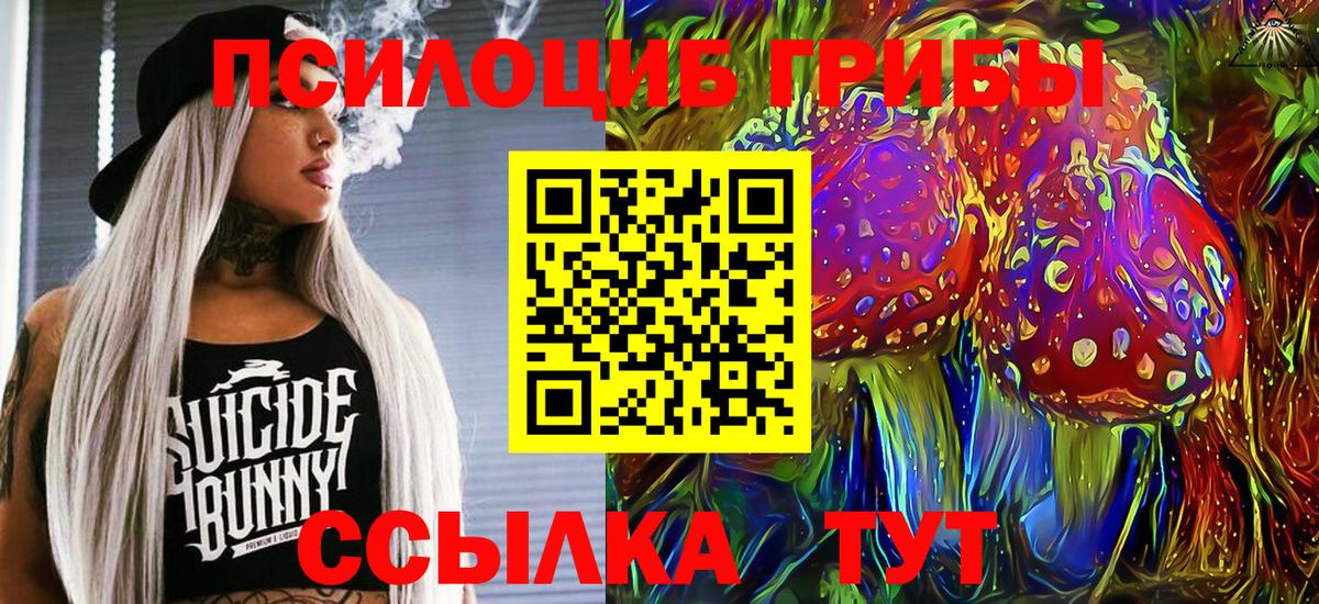 Галлюциногенные грибы Psilocybe  Вход с VPN  Саки 